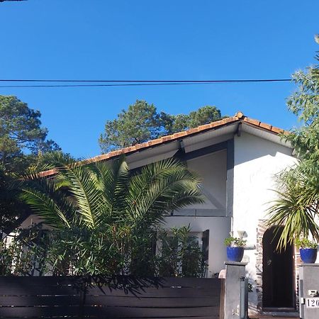 Villa Zaphira Gujan-Mestras Extérieur photo